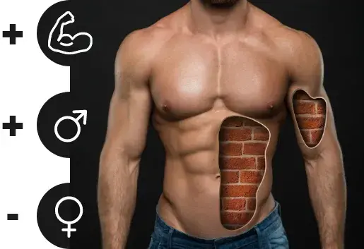 Fuctions pro-testosterone Fuctions pro-testosterone