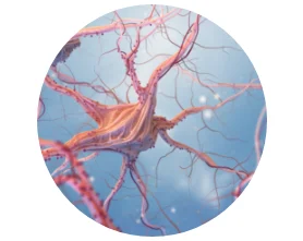 neurological and psychological function